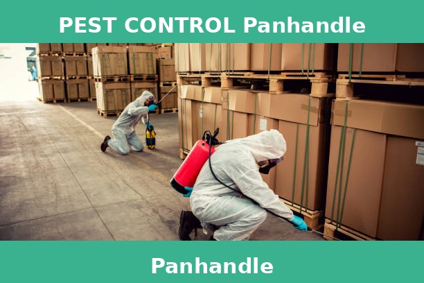 PEST CONTROL Panhandle